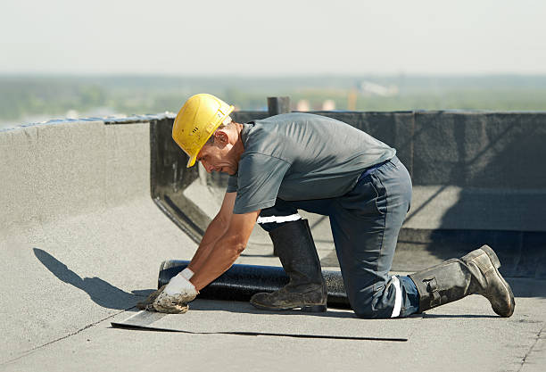Best Insulation Installation Services in Victoria, MN